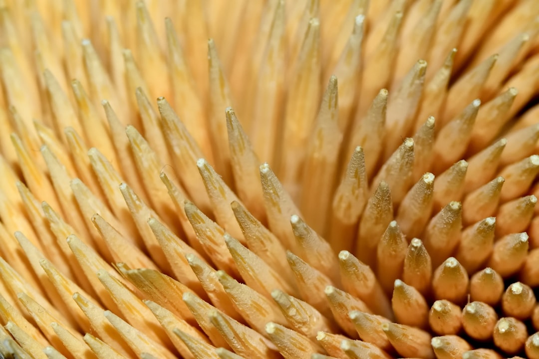 Waarom een deuk in je nagel soms meer zegt over je body dan je denkt